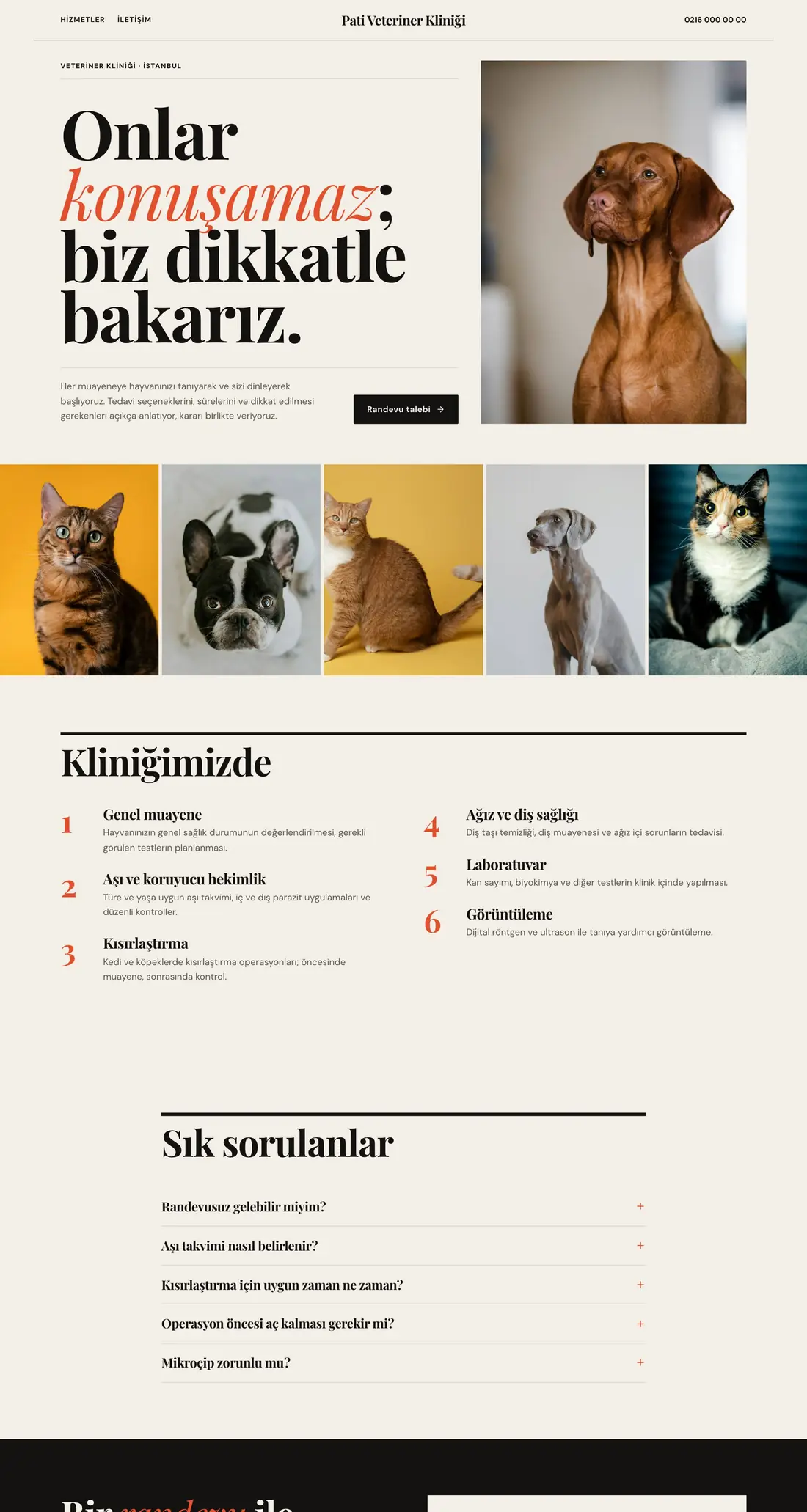 Veterinerler için Portre tasarımı